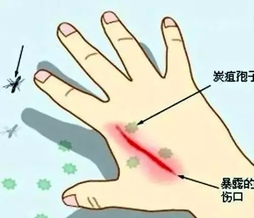 640.webp (7) 640.webp (7)